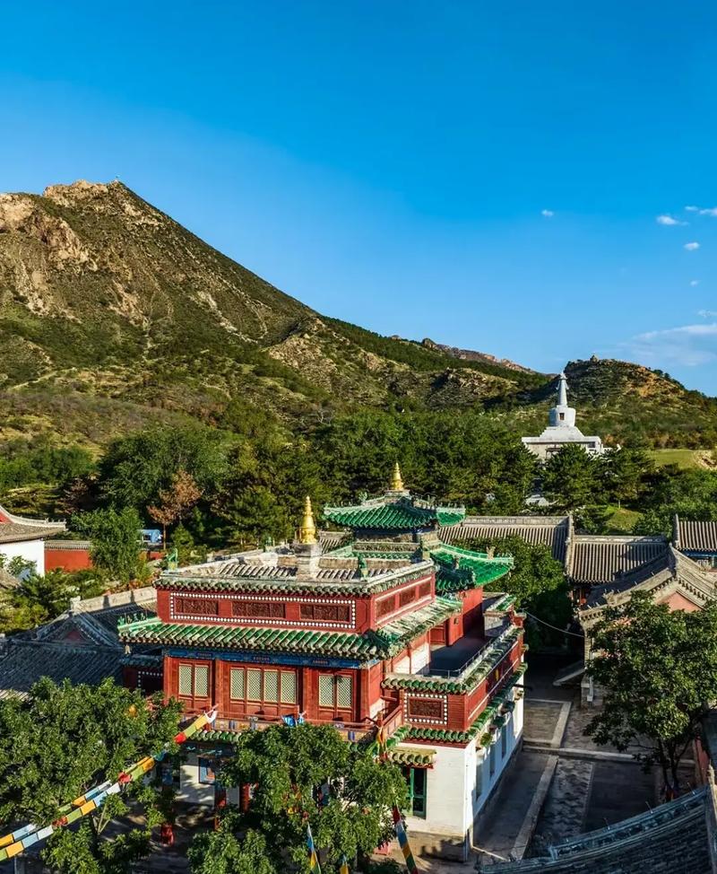 ������������(����������Ң)