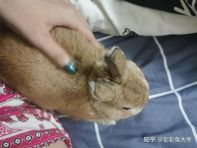 佛祖灵签第21签求事业_休闲活动会不会影响事业发展(佛祖灵签第21签求事业的梦境休闲活动是否预示着转机) 佛祖灵签第21签求事业_休闲活动会不会影响事业发展(佛祖灵签第21签求事业的梦境休闲活动是否预示着转机)