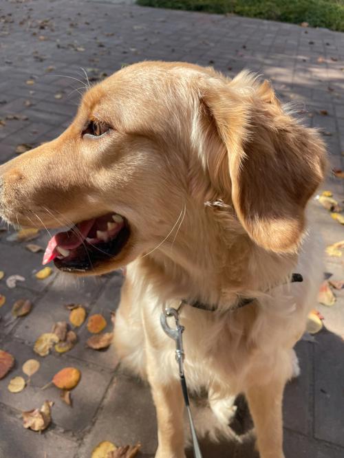 最有个性的包包店名 最有个性的包包店名