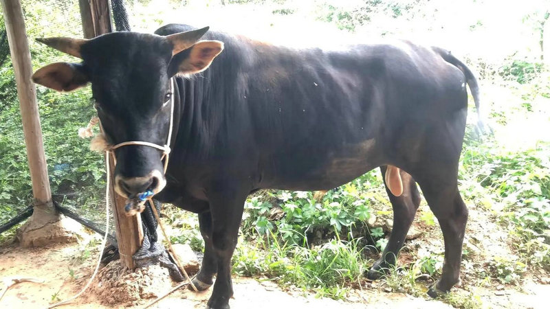 9月22日是什么星座 9月22日星座运势 9月22日是什么星座 9月22日星座运势