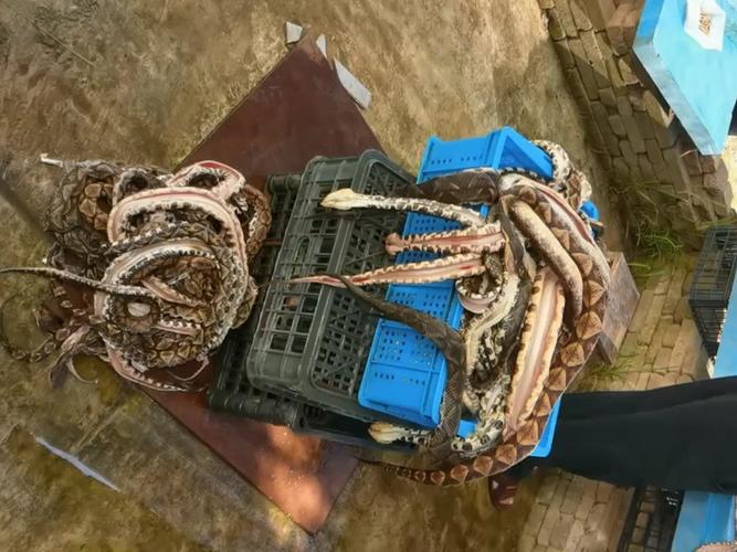 ��������ҵ��������λ 2025���������������ʲô��˼��