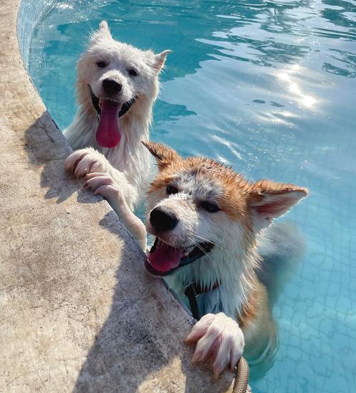 英文名金牛座男 英文名金牛座男