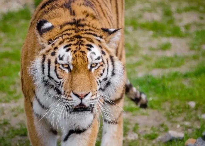 ǩ45_ͬ᲻ӰְǨ(ǩ45_ְҵ