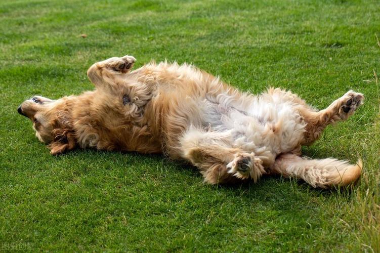 �ڼҲ��÷�ˮ����ͼƬ��ȫ(�����һ���ˮ������Щ,��Щ��λ���ܹһ�)