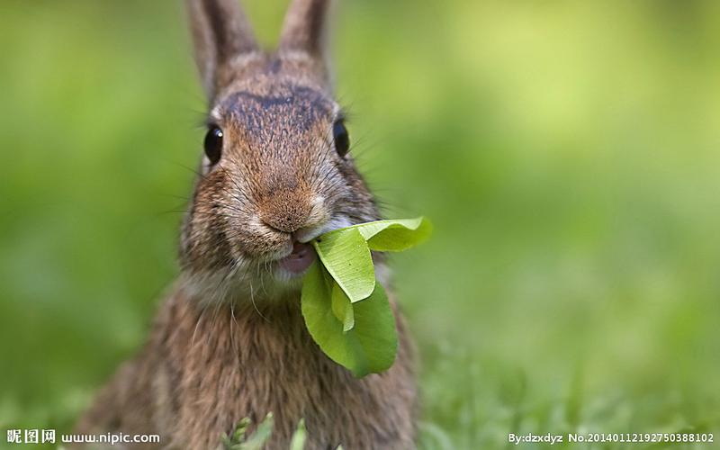 巨蟹男爱一个人的表现 巨蟹男爱一个人的表现