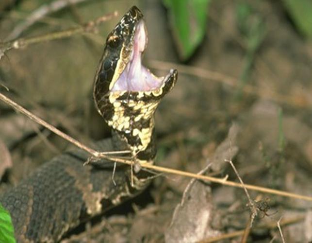 Ҷһ��������ϼ��ѧ��