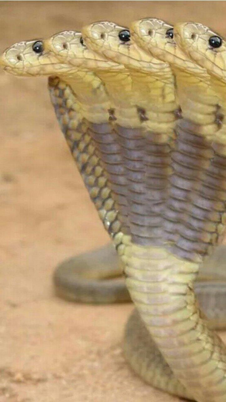 �»�Ҿӵķ�ˮ������ʲô(�鷿����ķ�ˮ����)