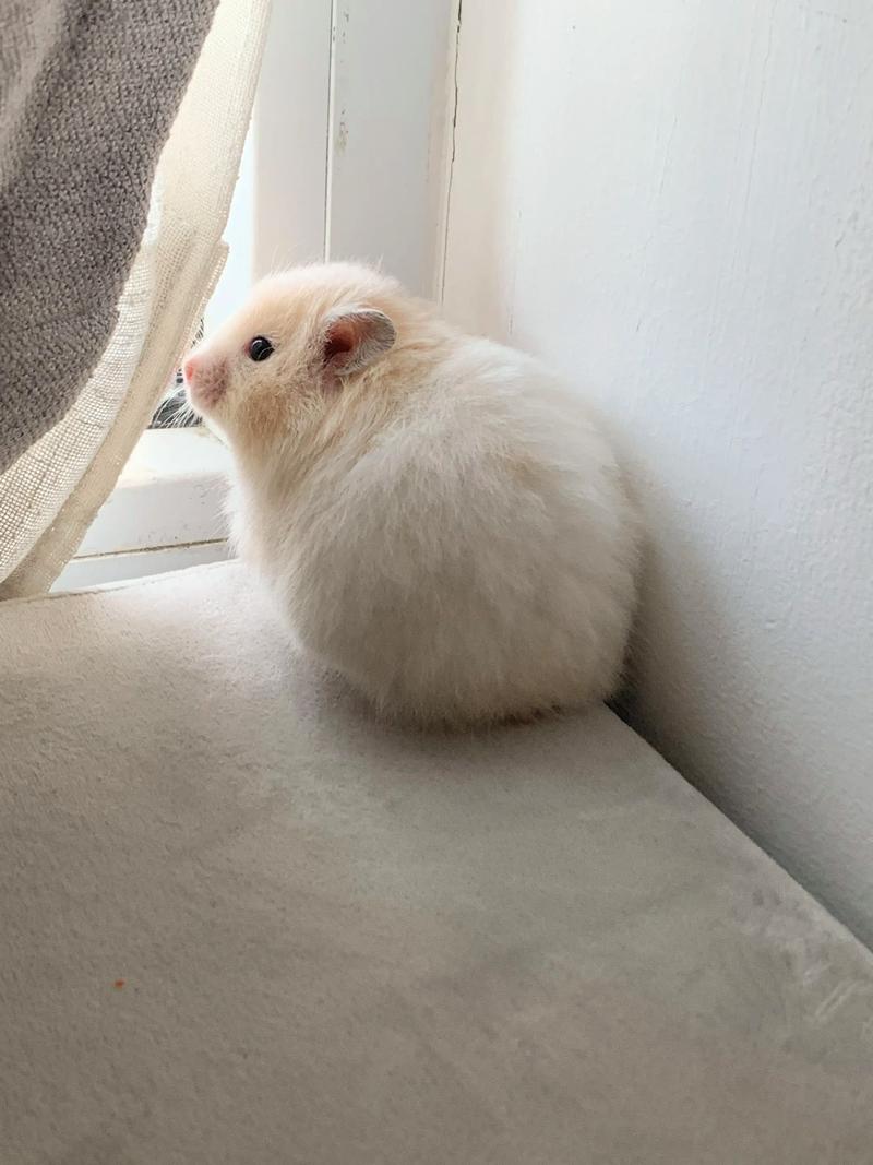 �ر����� ֻҪ������˵�仰����Ϊϲ���Լ�����ФŮ