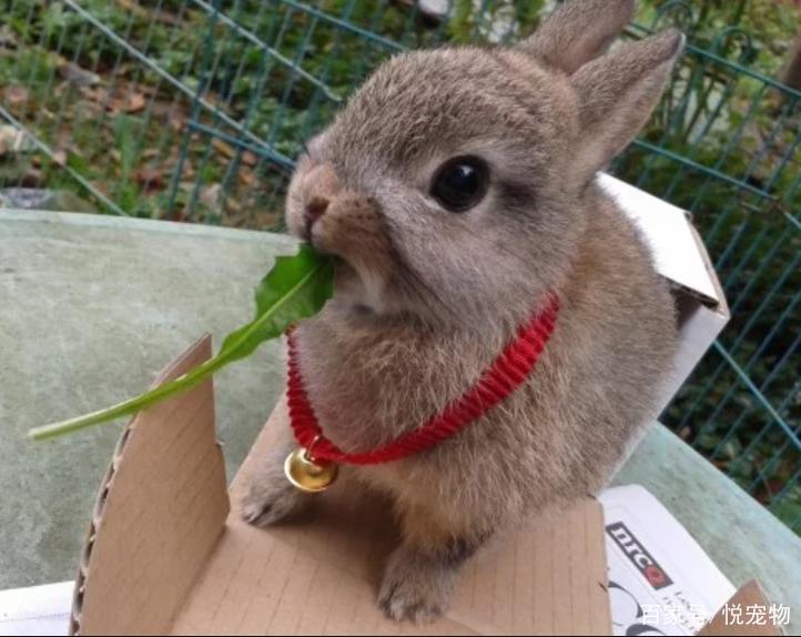 紫微斗数同干异位 紫微斗数同干异位