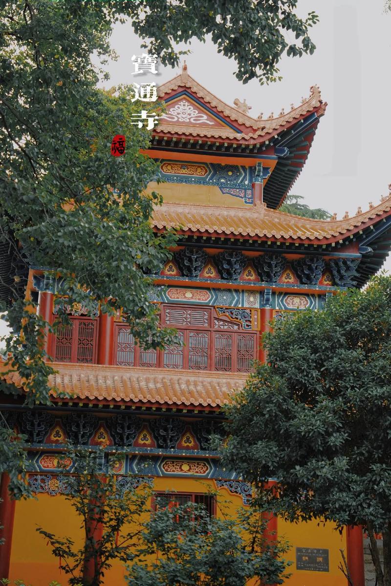 双鱼女为什么多情,双鱼女为什么总是那么的多情 双鱼女为什么多情,双鱼女为什么总是那么的多情