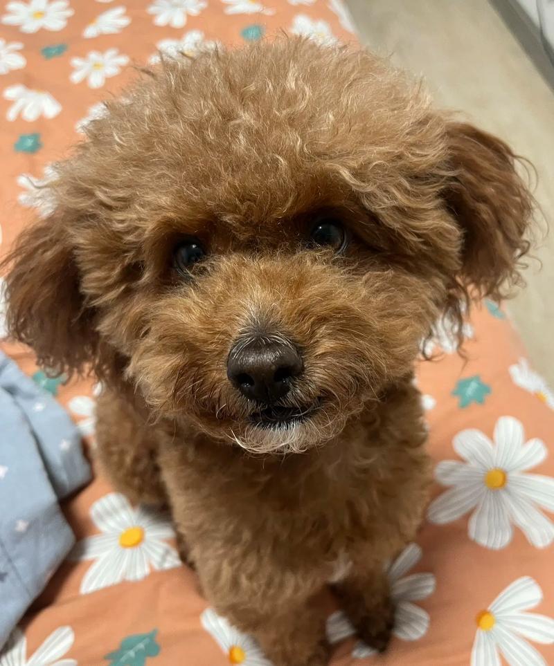 ǩǩ37龭ѹȥδ(ǩ37_龭ѹ_ǩ_Ǻν)