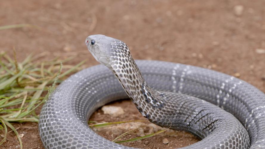 ��լΪ�ͻ���ɽ��