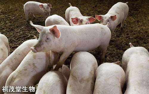 ��尮��14�����ɴ�������˭���Ա�ɽС���ӳ���