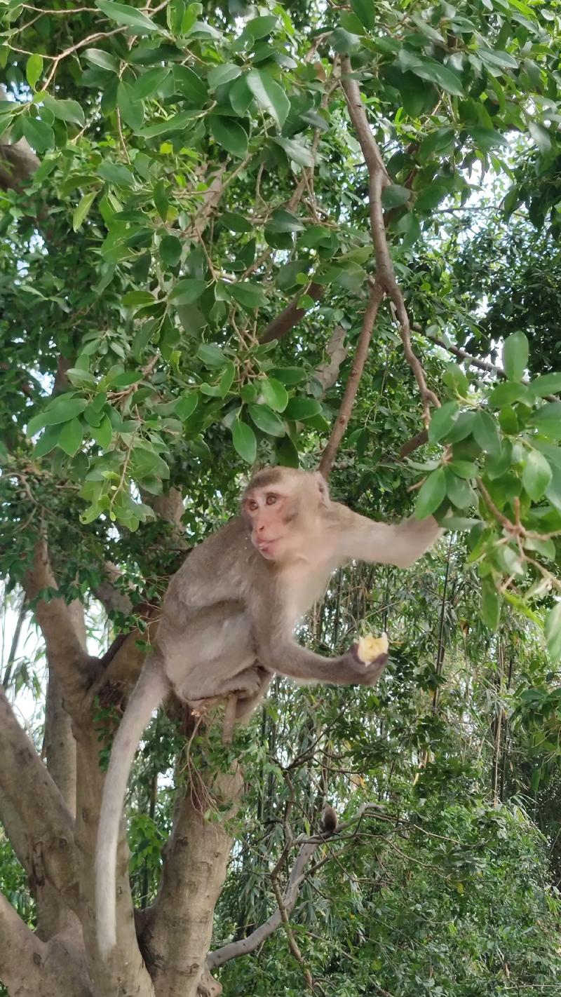 怎么辨别阴宅正穴 怎么辨别阴宅正穴