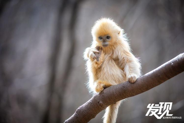 �������ڹ��������