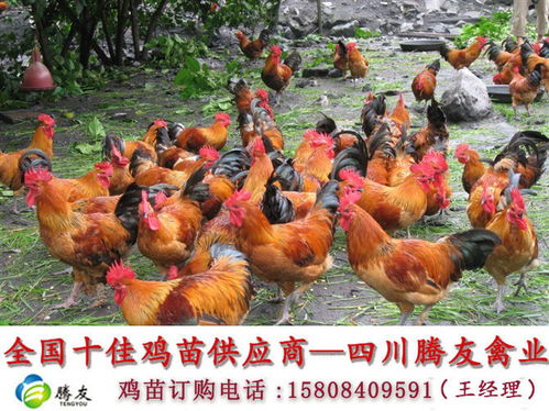 ÿд£ϲ㣿йʽ (ÿд(ջѯд))