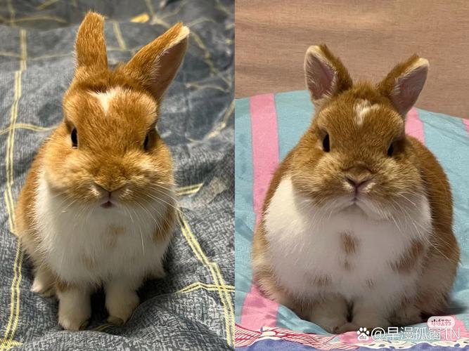 ȡ������ɽ�� ��ɽ����ôȡ��