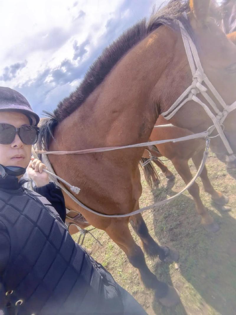 2008��������ʲô�� 2008������˵�����