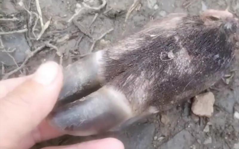 阴宅中弟兄顺序 阴宅中弟兄顺序