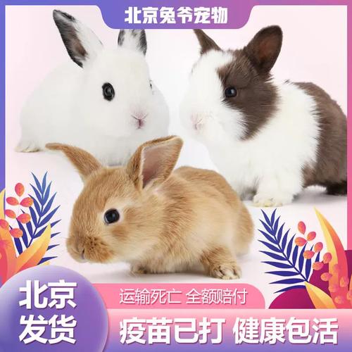 Ϊʲô���Ʋ��ܷ��������� (���������Ƶķ�ˮ����)