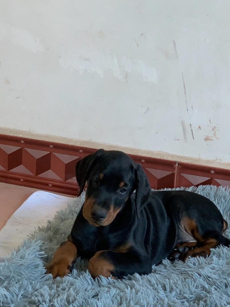 怎样看子女面相 怎样看子女面相