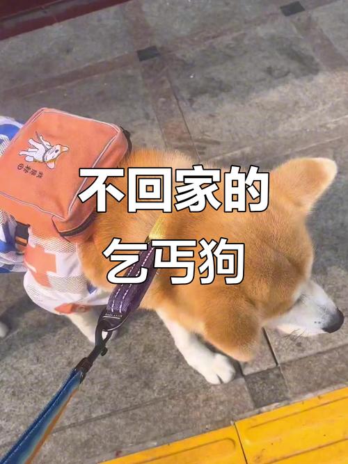 ������İ����� ��һ�仰�ܸ���������Ը��