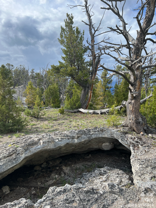 水瓶女婚配最佳的星座,水瓶女和什么星座的男相 水瓶女婚配最佳的星座,水瓶女和什么星座的男相