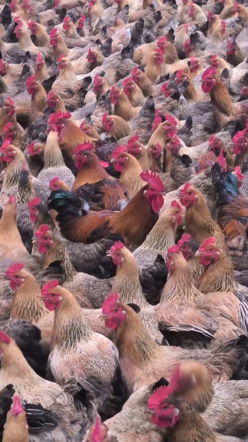 ����Ů�ĸ���������ʲô 2003������Ů������ʲô��˼��