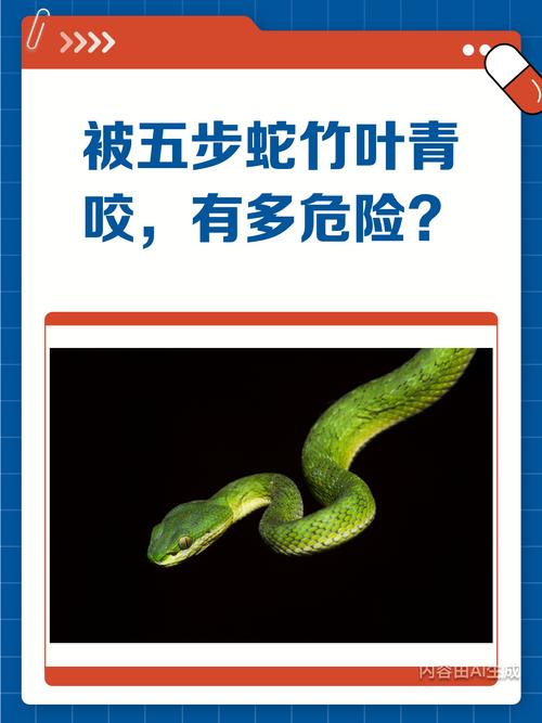 ˾ֵǷӰѧδչ(˾ֵĻӰѧҵչ)