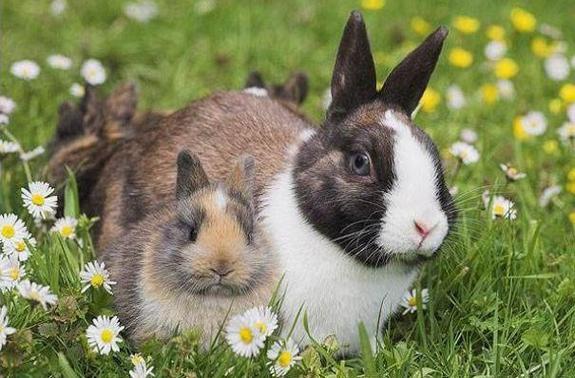 ��Ф���������θı�����