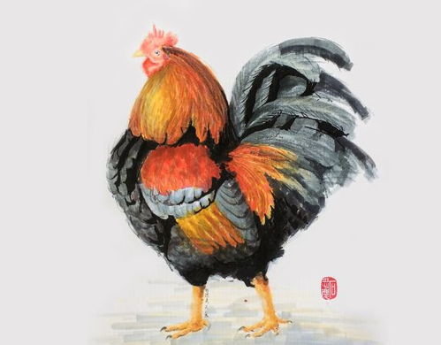 2022������Ԥ����Щ������һ�����׵ò�����