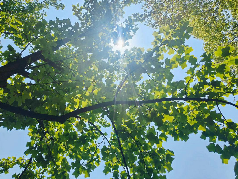 87年2025年本命年运势如何,87年2025年运势及运程 87年2025年本命年运势如何,87年2025年运势及运程