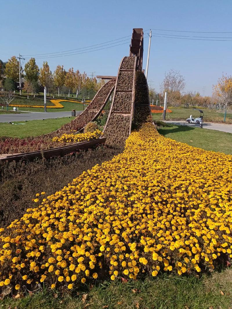 ����������լ��������