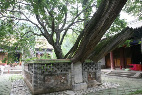 每月运势2018属兔女 属兔女今年四月份运势是什么意思? 每月运势2018属兔女 属兔女今年四月份运势是什么意思?