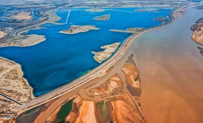 12生肖排序年龄2025序年龄 12生肖排序表 12生肖排序年龄2025序年龄 12生肖排序表