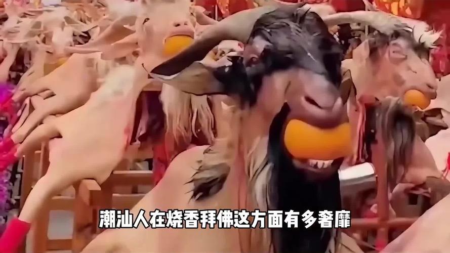 王曼昱大满贯缺什么王曼昱的短板是什么肖战 王曼昱大满贯缺什么王曼昱的短板是什么肖战