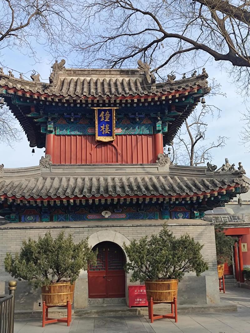 楼梯间摆放景观植物的风水禁忌(景观的风水禁忌是什么呢) 楼梯间摆放景观植物的风水禁忌(景观的风水禁忌是什么呢)