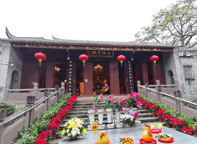 属猪天蝎座2025年运势 属猪天蝎座2025年运势