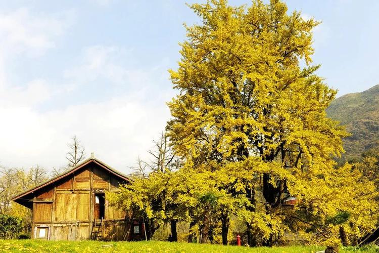 86年属虎的桃花运 86年虎找对象 86年属虎的桃花运 86年虎找对象