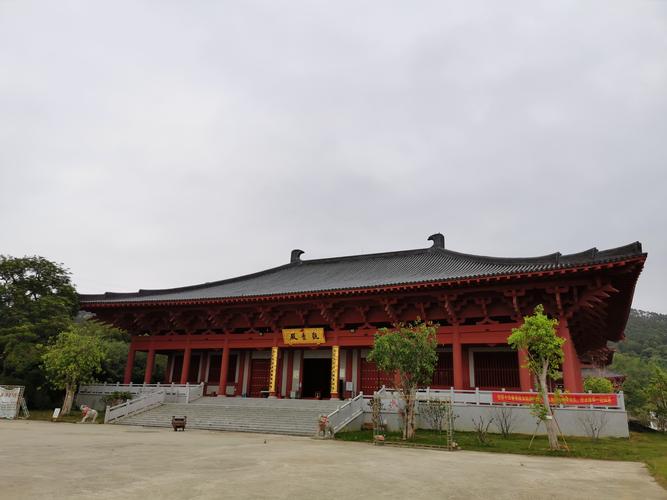 属马人今日打牌财运 属马的2025年打麻将财神方位 属马人今日打牌财运 属马的2025年打麻将财神方位