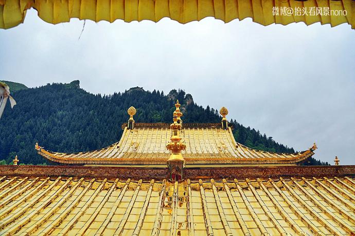 郑爽的孩子是她的卵子吗 郑爽的孩子是她的卵子吗