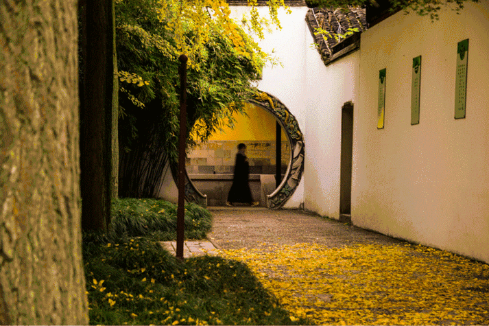 十二星座运势胖熊 柒爸爸星座一周运势 十二星座运势胖熊 柒爸爸星座一周运势