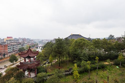 生肖属虎的今年命运怎么样,十二生肖虎今年运 生肖属虎的今年命运怎么样,十二生肖虎今年运