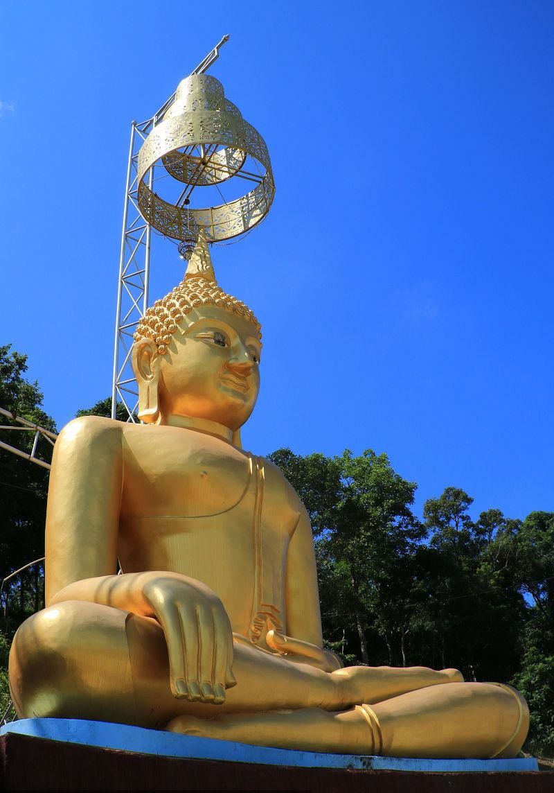 左耳有猴子面相 左耳有猴子面相