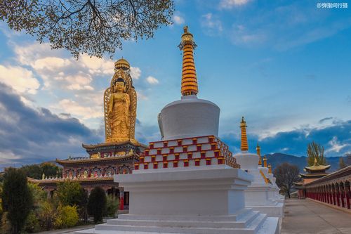 ľڿʲôλ÷ˮ,ľʲôͷ