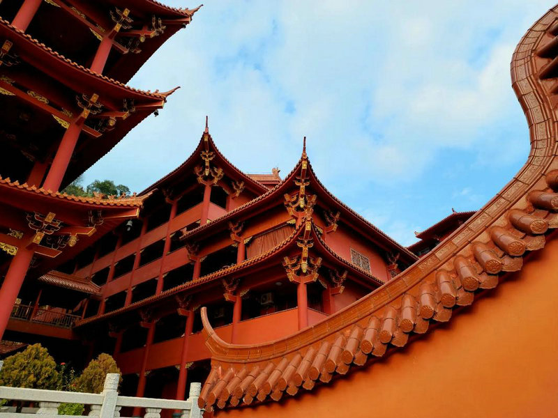 2月7日是什么星座 2月7日星座运势 2月7日是什么星座 2月7日星座运势