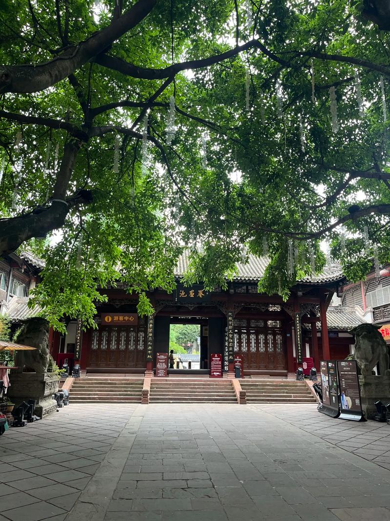 �������������˳ɰ���Դ