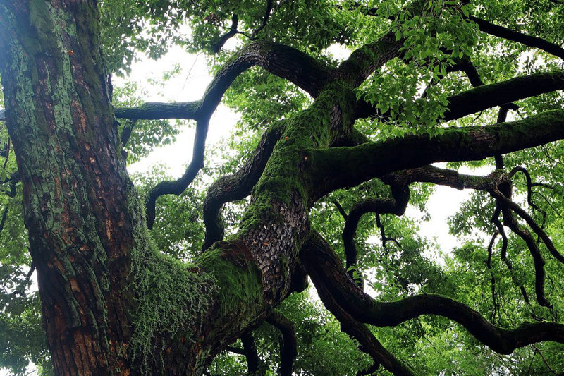 ʲôʱ����������������и���