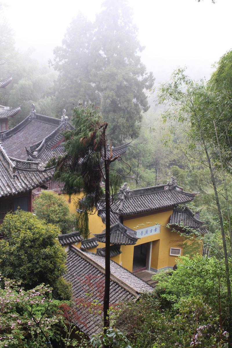 乌龟五行的水火揭密 乌龟五行的水火揭密