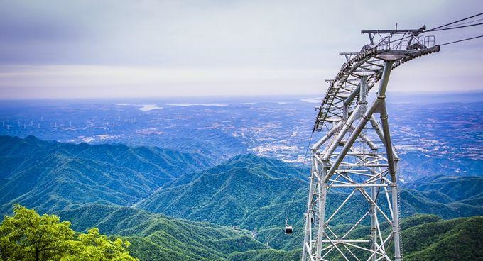 9月17日生日花-锦葵 9月17日生日花-锦葵